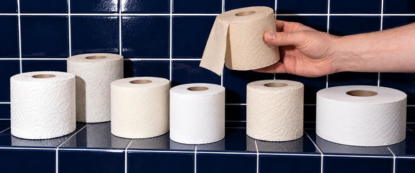 The 7 main types of toilet paper explained