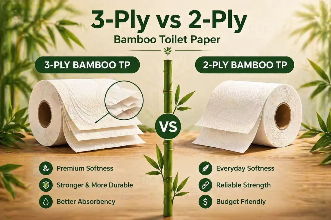 3-Ply vs 2-Ply Bamboo Toilet Paper: Which Is Better?