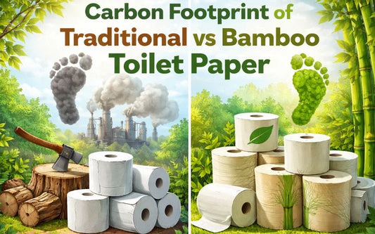 Carbon Footprint: Traditional vs Bamboo Toilet Paper