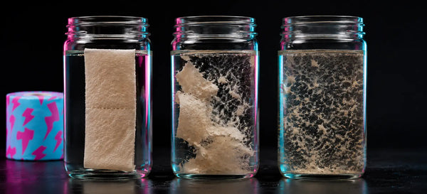 Three water-filled jars showing intact tissue, larger fragments and dispersed fibres, with a cyan-pink wrapped toilet paper roll behind them.