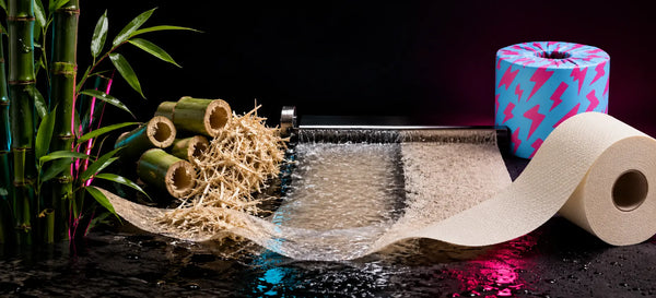 Bamboo stalks, shavings and wet pulp beside a cream toilet paper roll and cyan-pink wrapper, showing stages from bamboo to finished tissue.