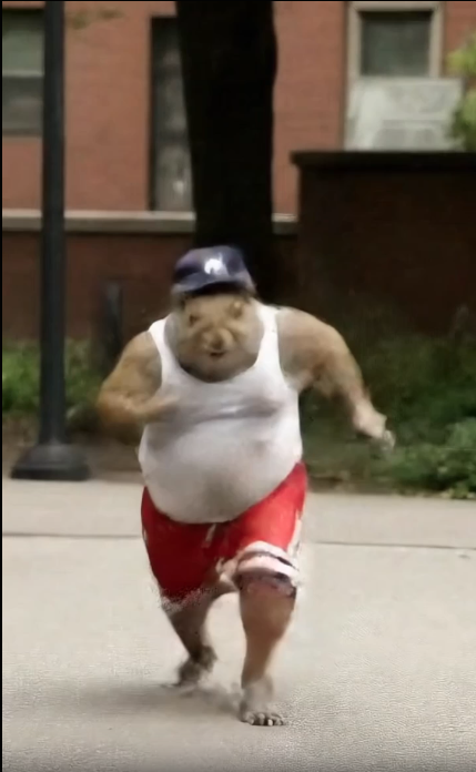 Skid Slayer video poster